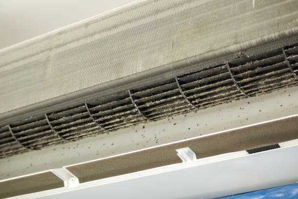 Best HVAC Air Duct Cleaning  in Mahnomen, MN
